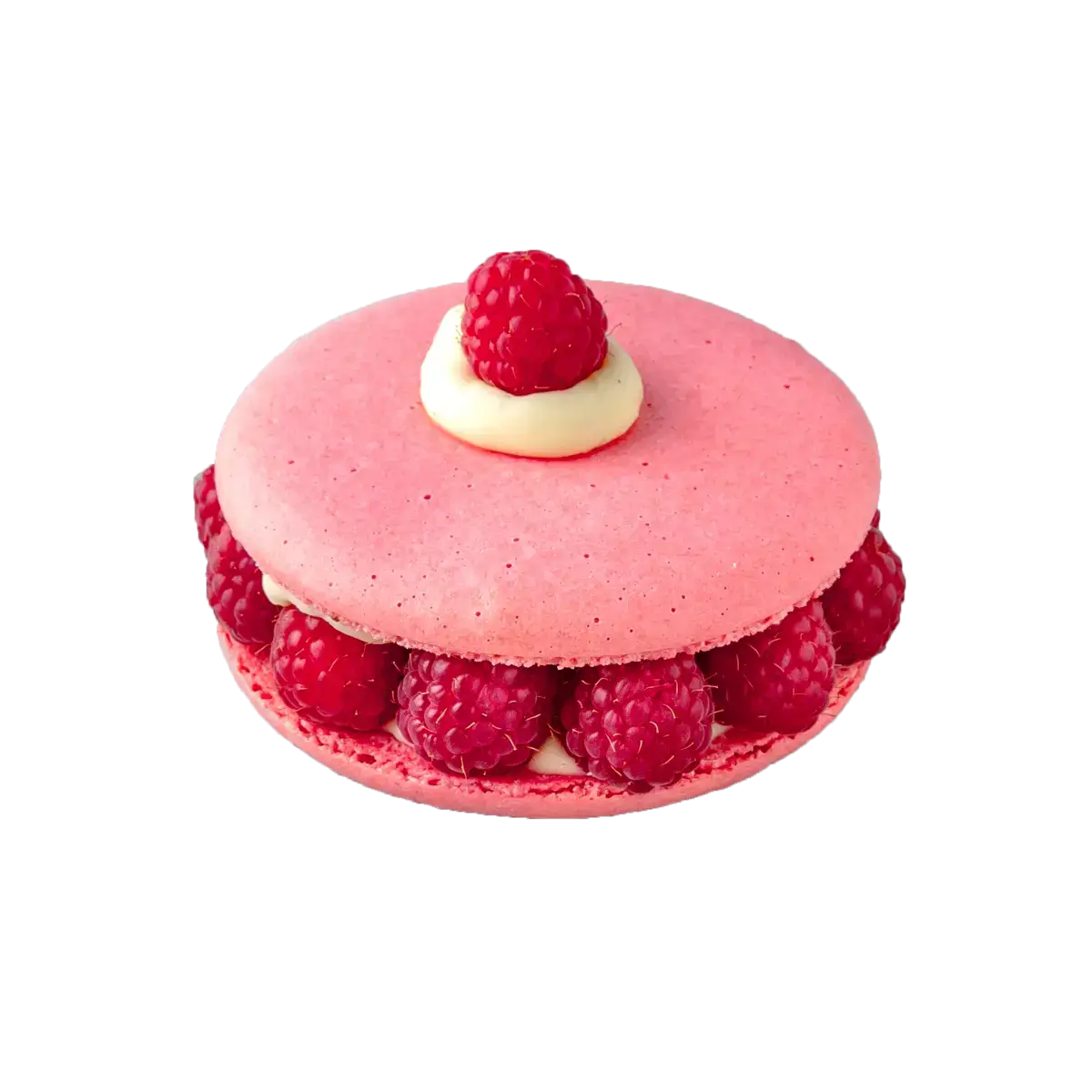 Prăjitură Ispahan cu Zmeură, Trandafir și Vanilie – Délice d’Ange
